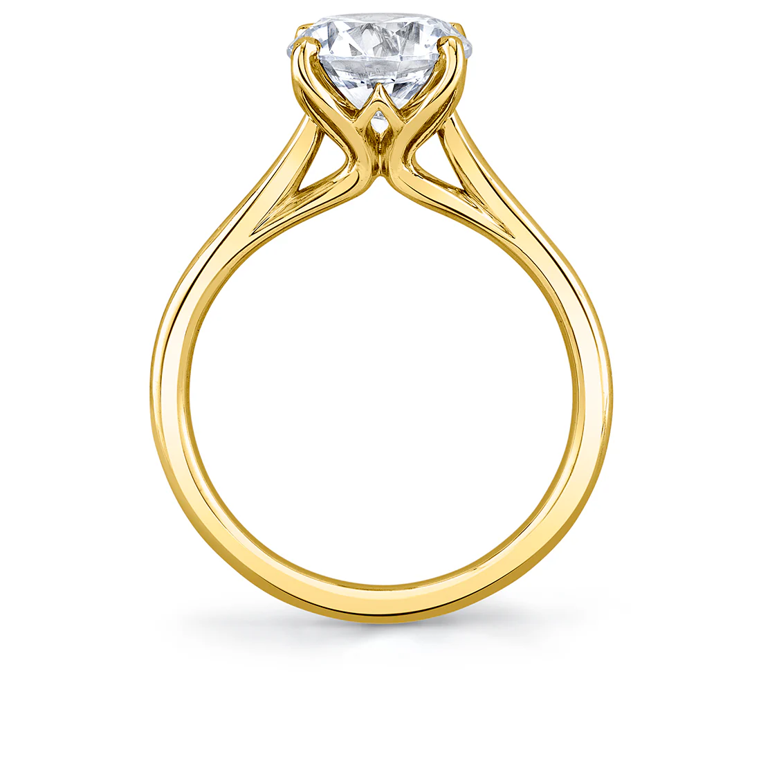 Tulira Solitaire Petal Prong Engagement Ring - Amber - Image 2
